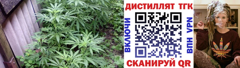 купить Шатура ТГК гашишное масло